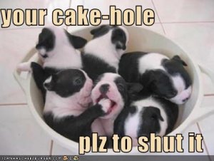 shutyourcakehole.jpg