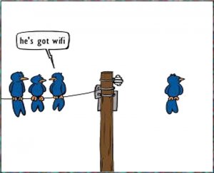 wifi.1.jpg