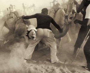 camel-drifting.jpg