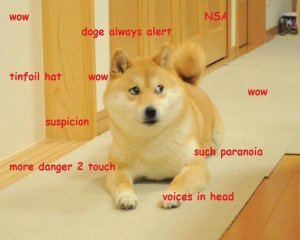 conspiracy-shiba.jpg