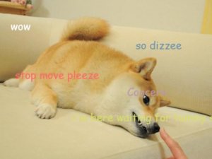 dizzy-doge.jpg