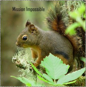 Mission Impossible.jpg