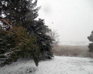DSCN0076.jpg