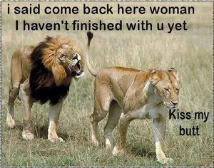 Come back here..jpg