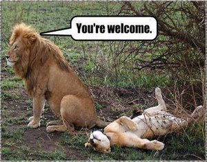 you're welcome.jpg