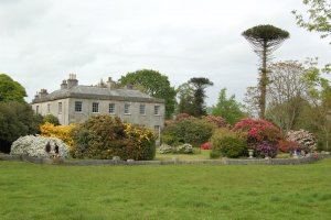 house-spring.jpg