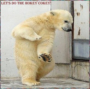 Hokey Cokey.jpg