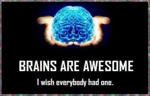brains.jpg