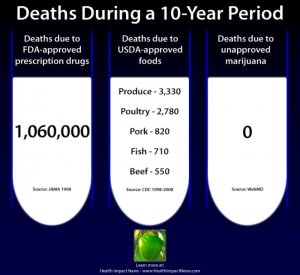 illegal-marijuana-deaths-compared.jpg