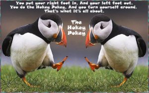 The Hokey Pokey.jpg