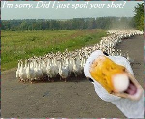 I'm sorry.jpg