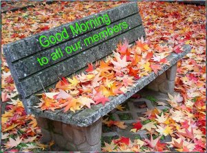 Good Morming members.jpg