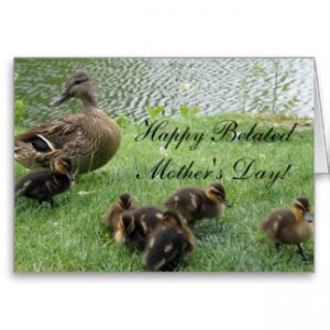 happy_belated_mothers_day_mallard_ducks_card-r2f0d116a10ee4f8db4a531def8750ae3_xvuak_8byvr_324.jpg