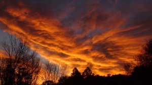 Golden_Clouds.jpg