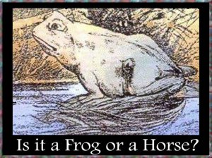 frog or horse.jpg