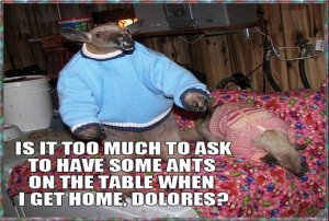 Ant Eater.jpg
