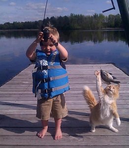cats-are-thieves-10.jpg