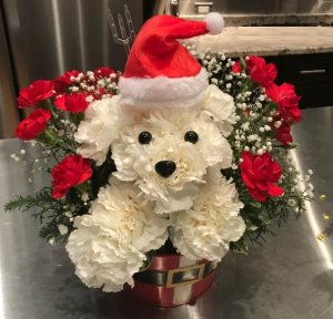 doggie floral.jpg