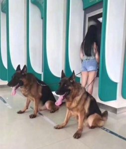 atm1.jpg