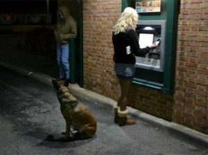 atm3.jpg