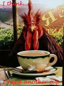rooster.jpg