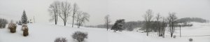 Winter Scene small.jpg