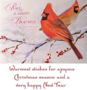 card9a2.jpg