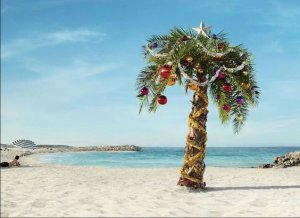 a a a a a beach palm christmas tree.jpg