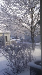 Christmas Day 2017.jpg