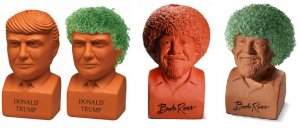 chia.jpg