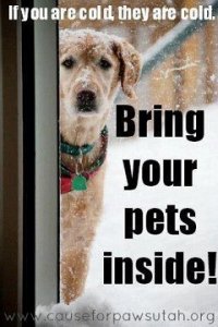 dcf8a42b3cbdf30f9802192461b1be30--you-are-would-you.jpg dcf8a42b3cbdf30f9802192461b1be30--you-are-would-you.jpg