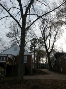 PHouse12262017_3.jpg