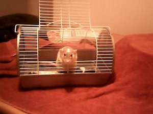 IMG_20160904_194133.jpg
