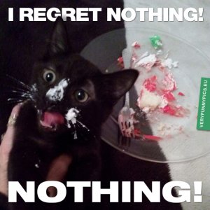 funny-pictures-i-regret-nothing-700x700.jpg
