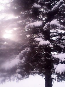 IMG_20171212_142619 (1).jpg