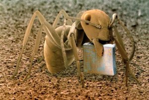 wood_ant_microchip.jpg