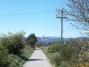 deeside1.JPG