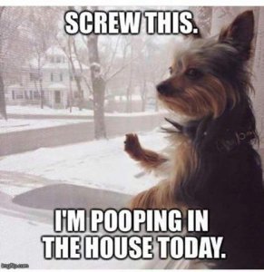 FB_IMG_1514821411547.jpg