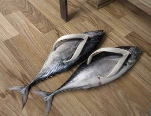 fish.jpg