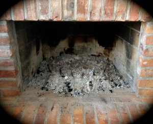 fire.jpg