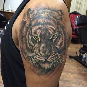 tat.jpg