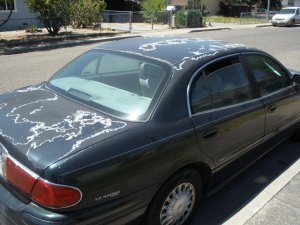 P7100062.jpg P7100062.jpg