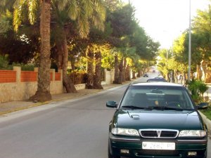 P1010096-1.jpg~original.jpeg P1010096-1.jpg~original.jpeg