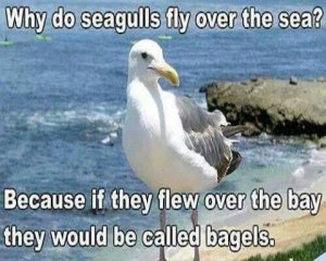 9CB5C41C-0204-4CD7-9D26-48BB3DE00699.jpeg
