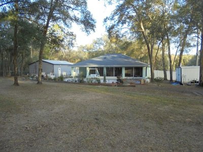 back yard.JPG