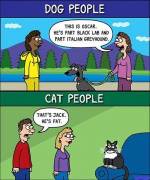 cat v dog.jpg