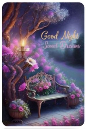 Good Night Fr.jpg