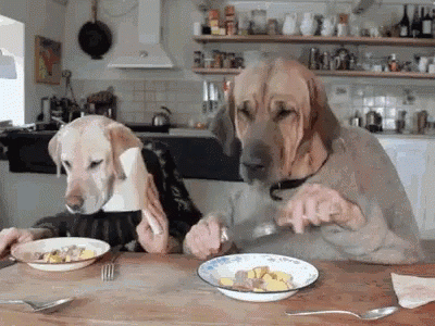 dogseating2.gif