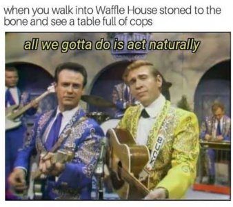yrgrg.JPG