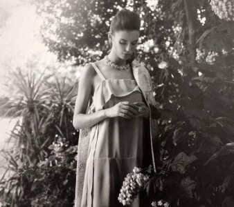 elegant morn mem.jpg